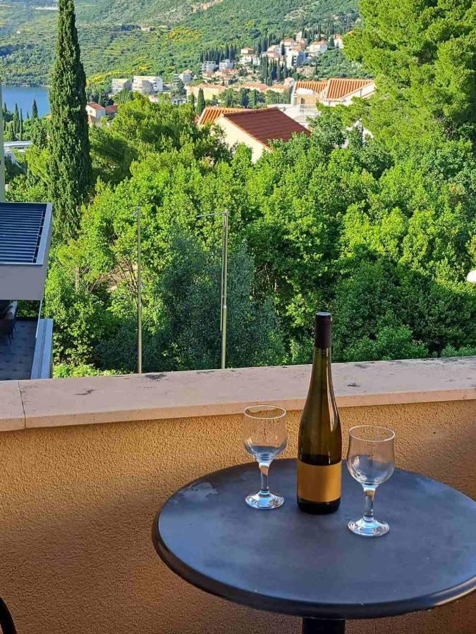 Guesthouse Villa Stanovic Vlaho Cavtat Rum bild